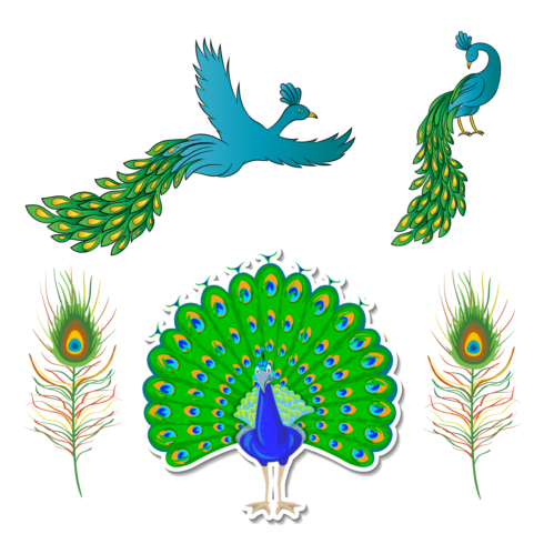 5 Peacock SVG Designs – MasterBundles