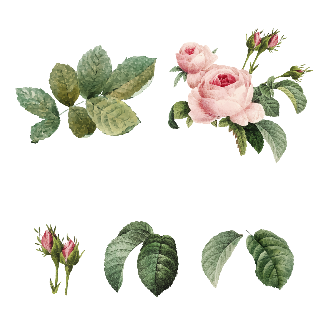 SVG > vintage floral flower rose - Free SVG Image & Icon.