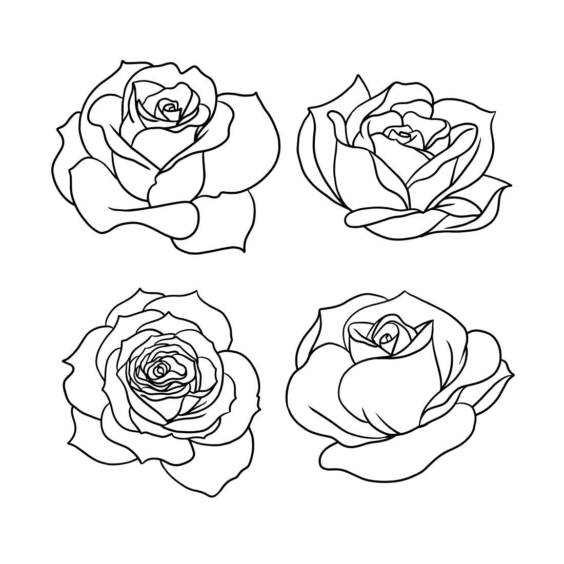 Four rose outline svg cover.