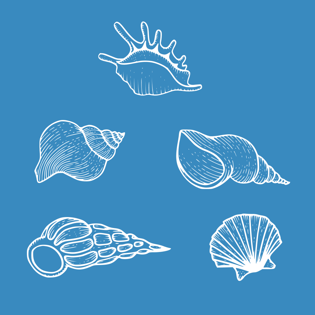 Set of seashells on a blue background.
