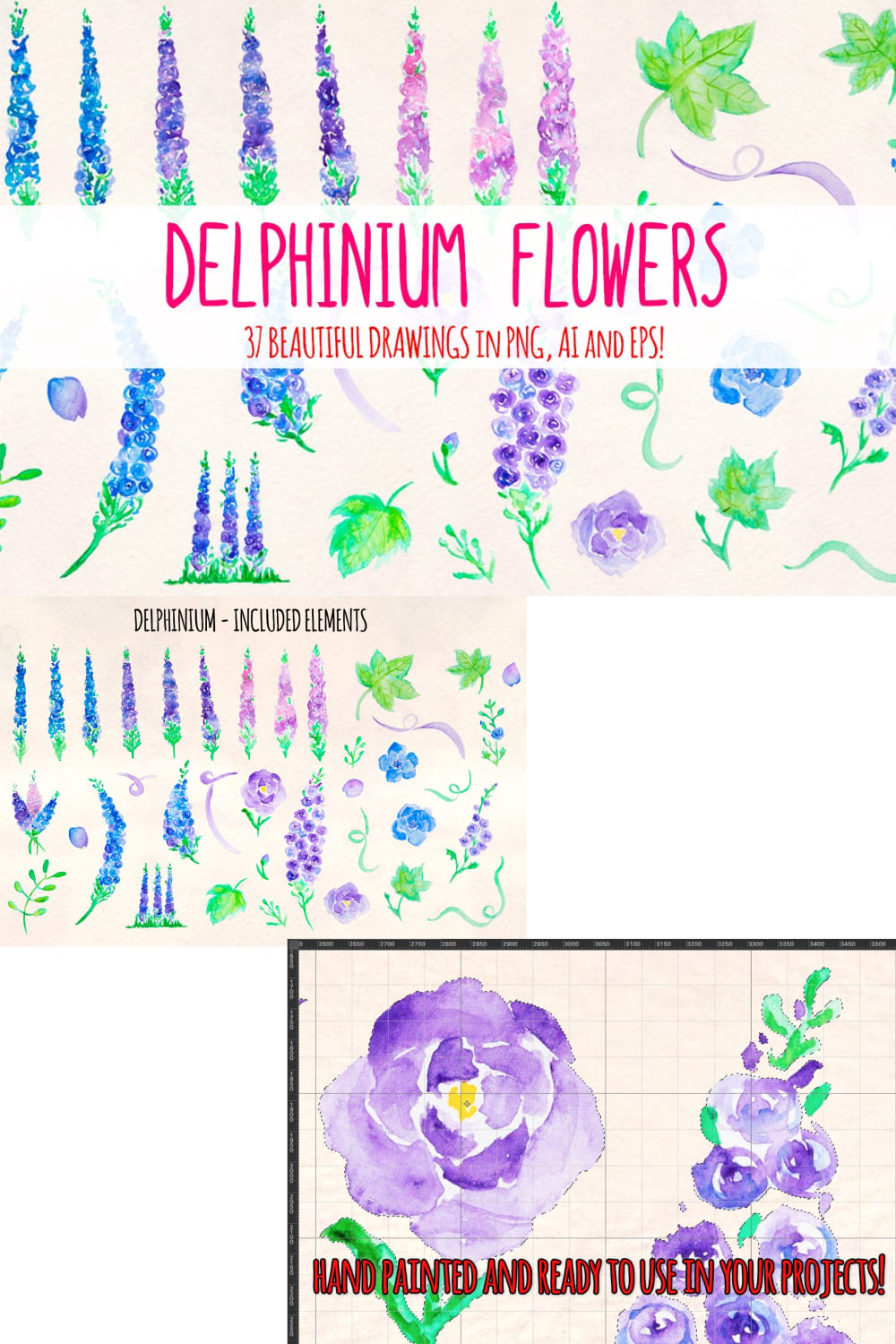 04 37 delphinium flower graphics 1000 1500