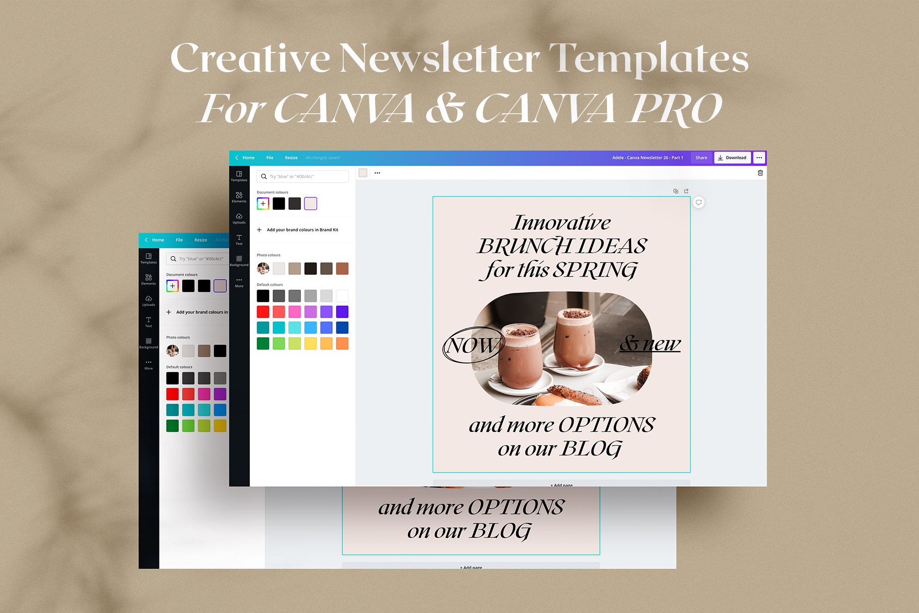 Creative newsletter template for canva.