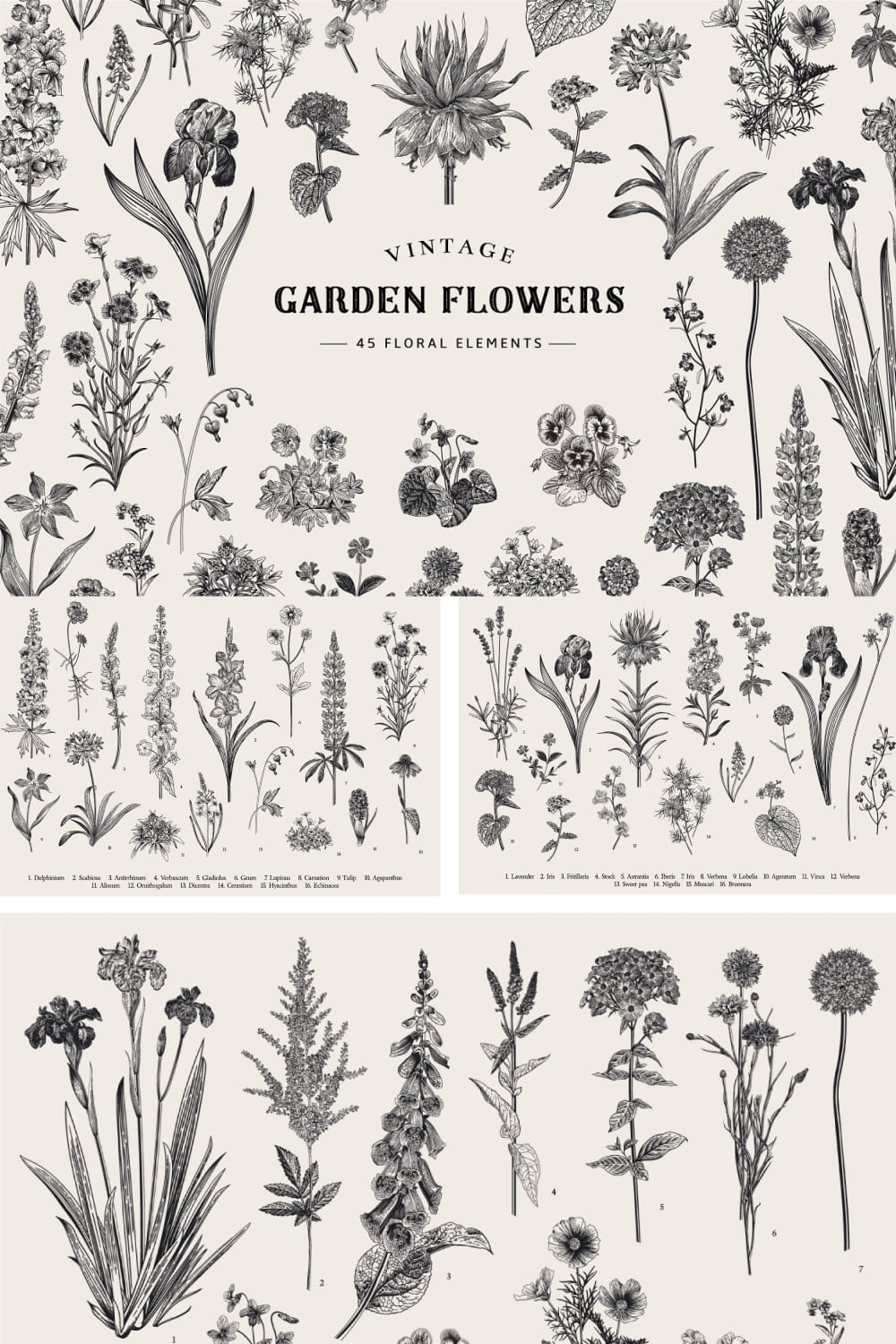 04 garden flowers. black and white 1000 1500