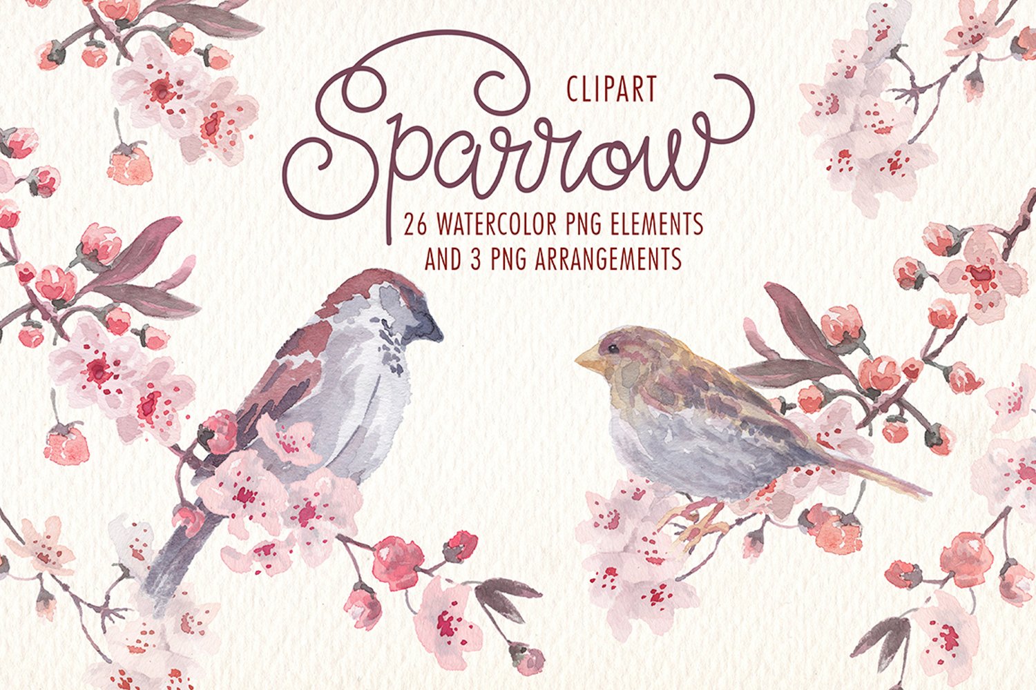 This set includes 26 watercolor png elements and 3 PNG arrangements.