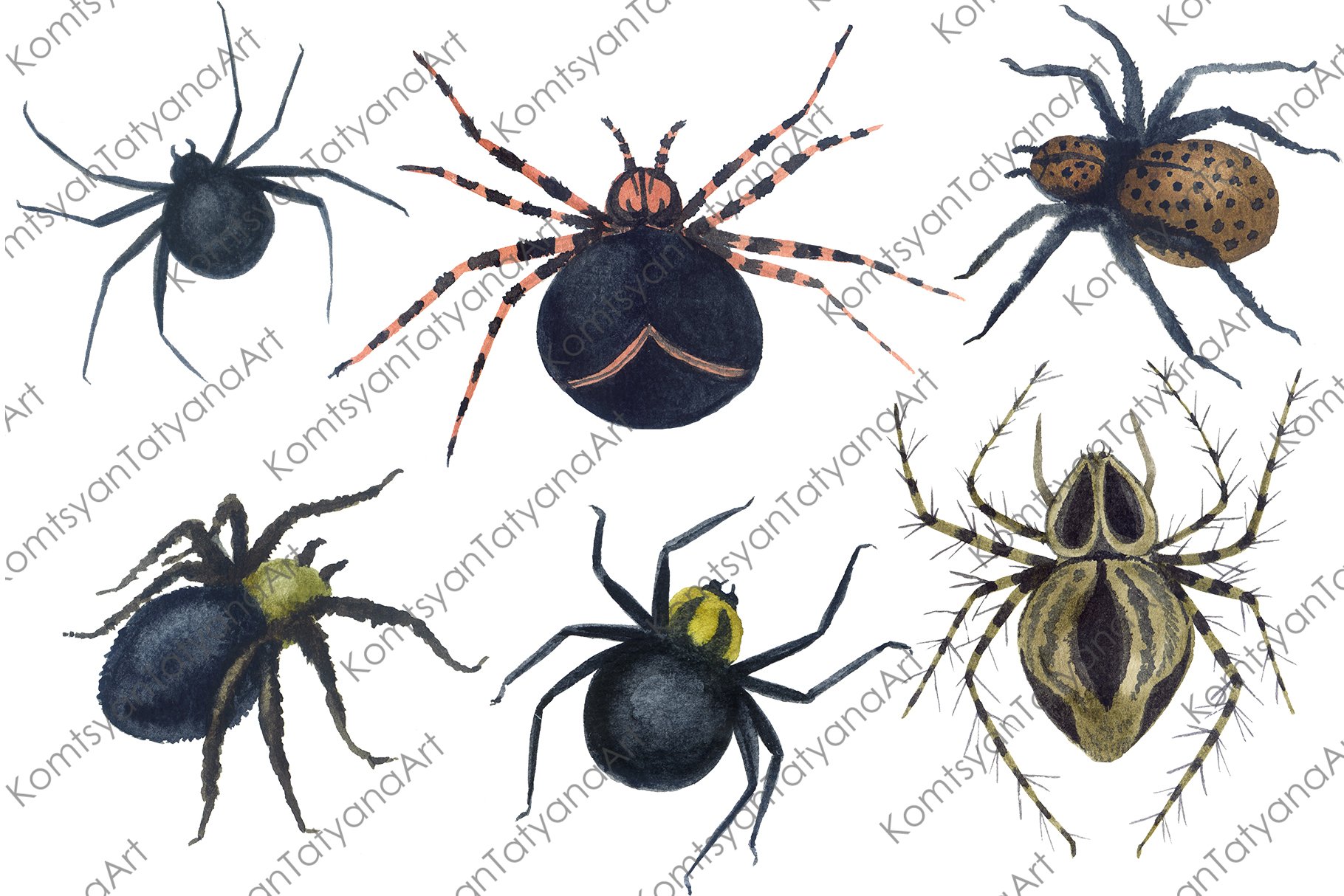 Dark watercolor spiders.