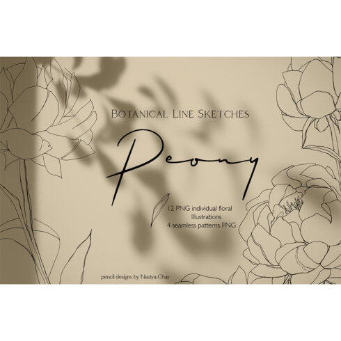 Botanical Line Sketches PEONY cover image.