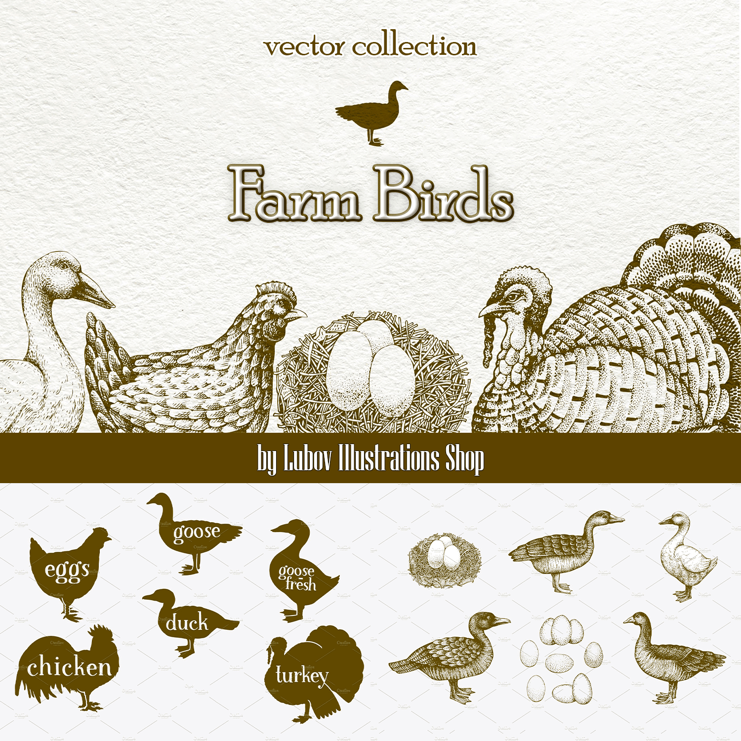 Farm Birds Vector collection.