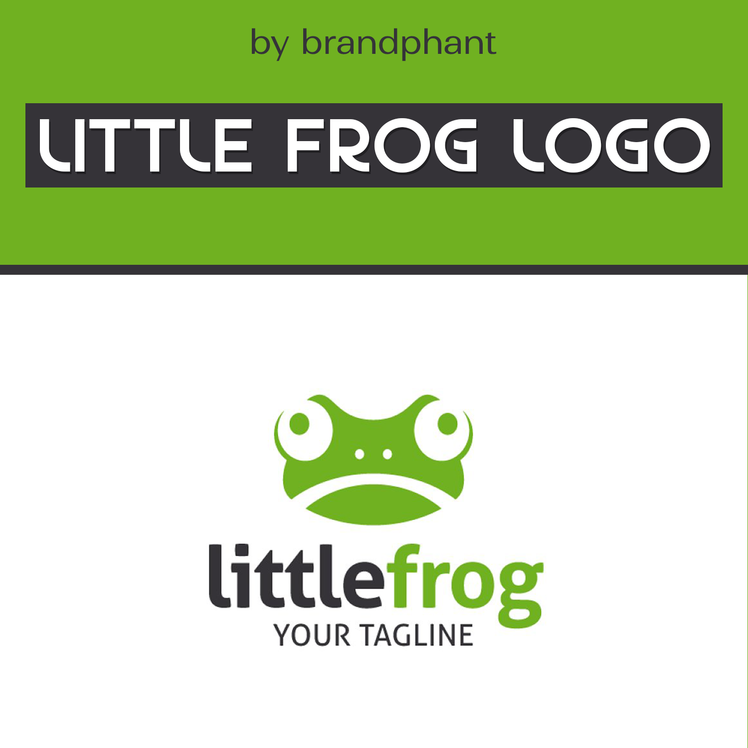 Little Frog Logo cover.