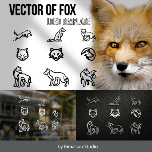 Vector of fox logo template - main image preview.