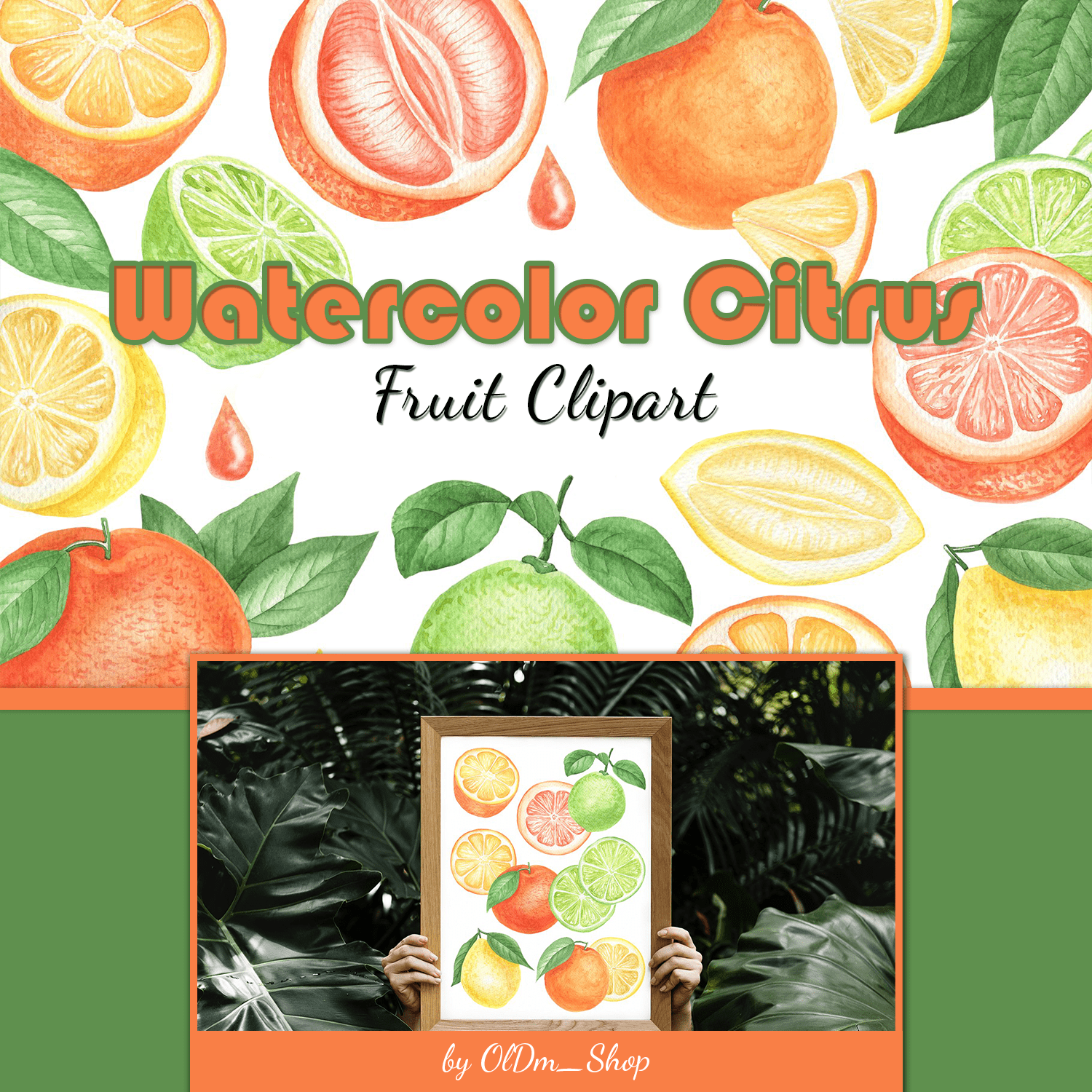 Watercolor Citrus Fruit Clipart cover.