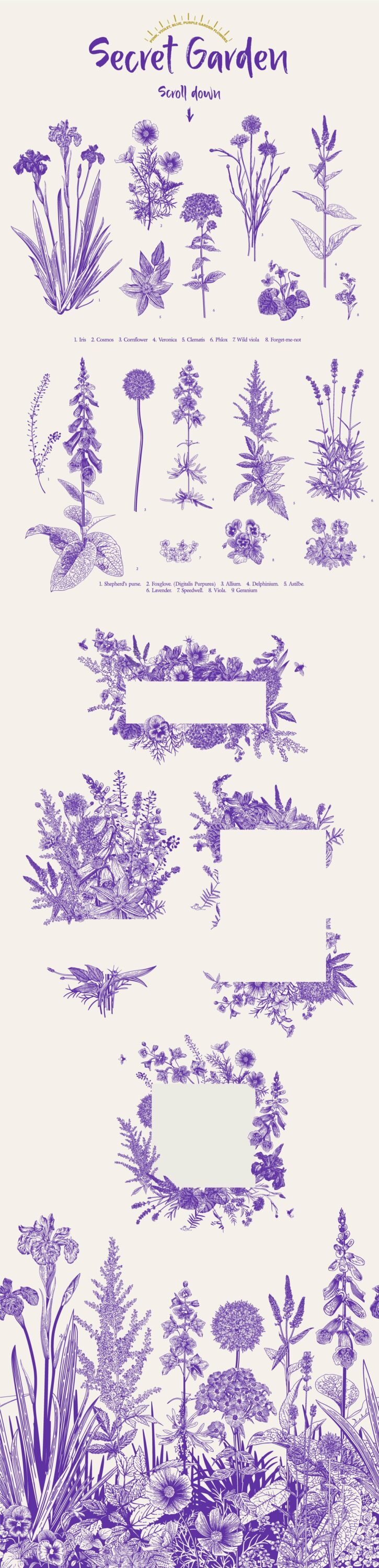 Nice purple flowers set.