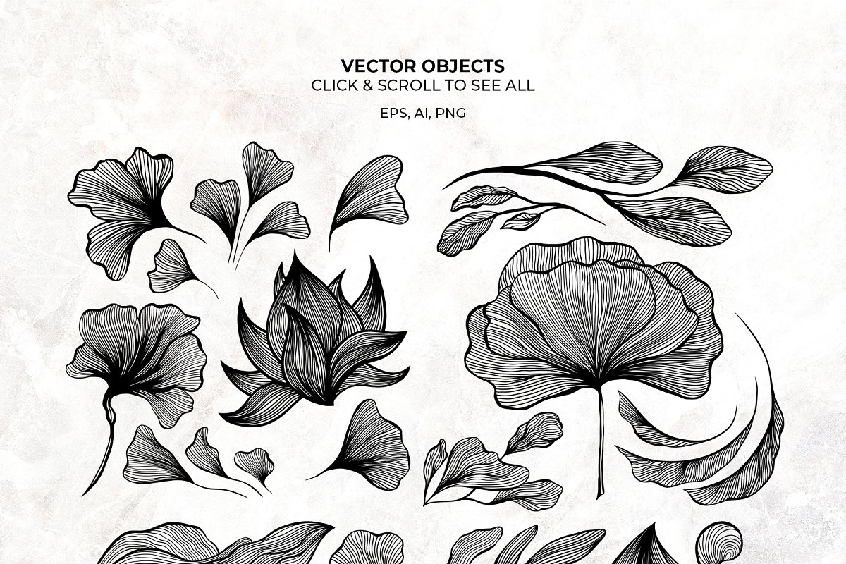 Floral vector objects.