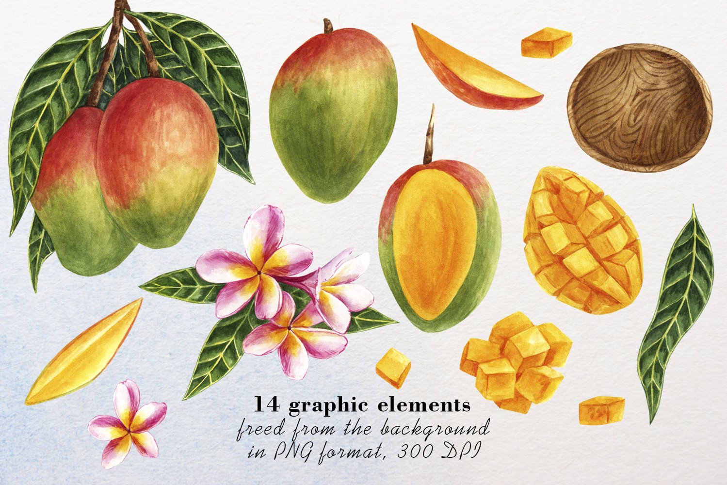 This set includes 14 graphic elements freed from the background in PNG format.