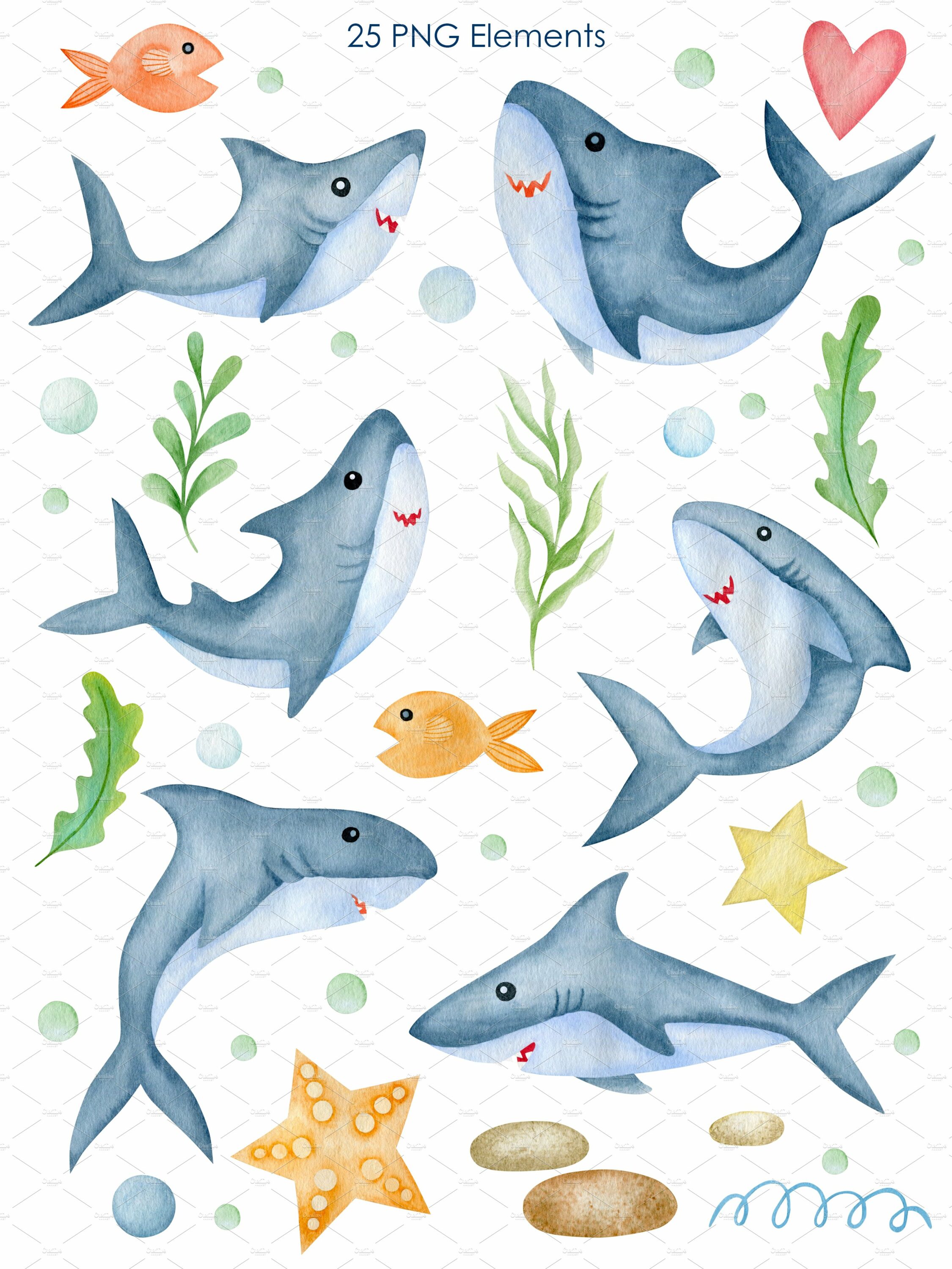 Nice grey shark diverse.