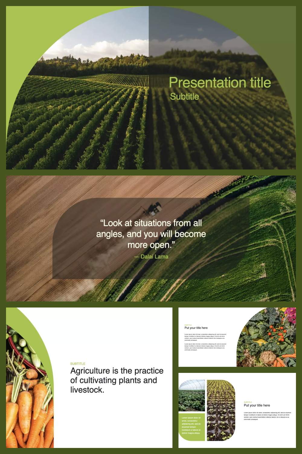 Presentation pages with photos of sown fields.