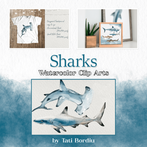 Sharks - Watercolor Clip Arts.
