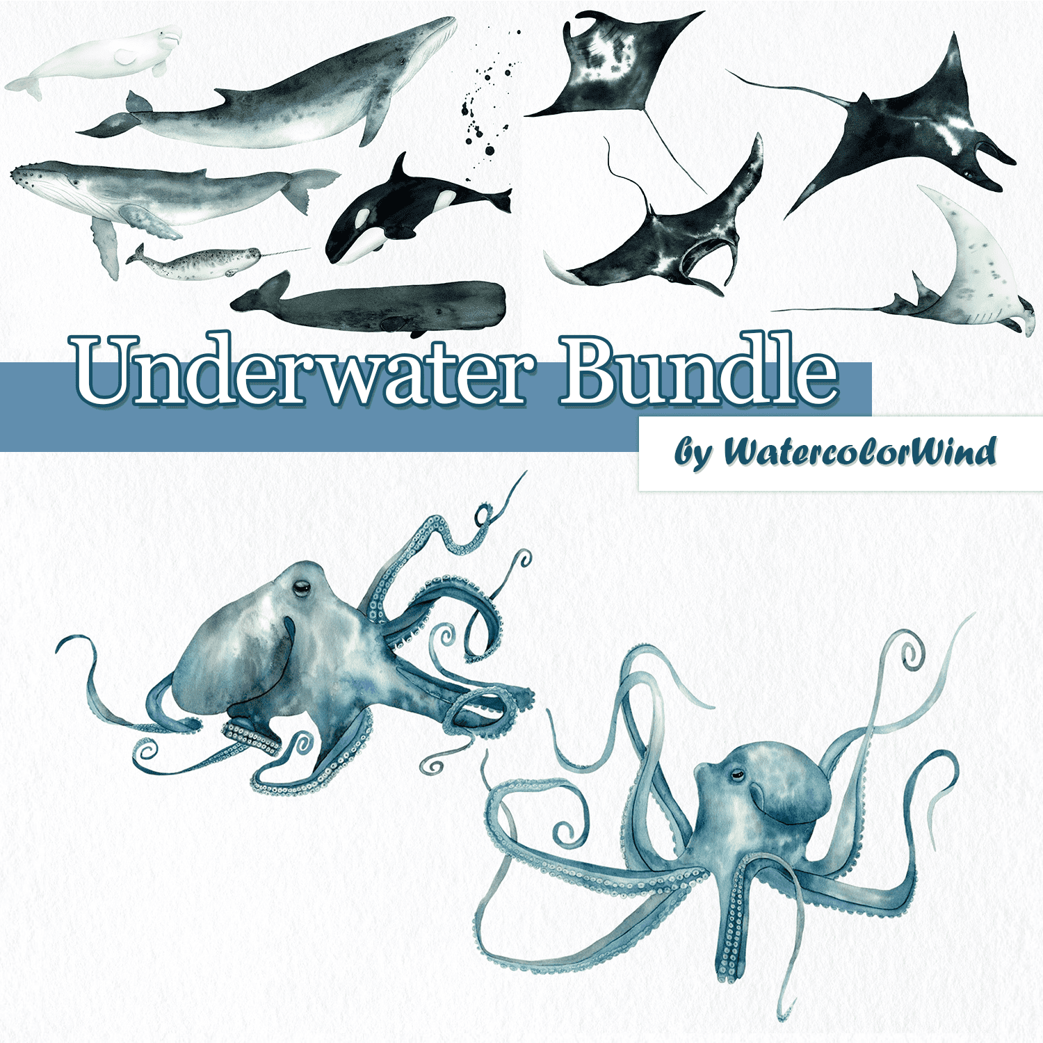 Underwater Bundle cover.