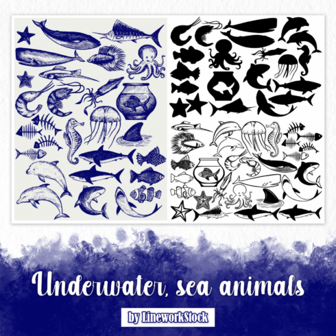 Underwater, sea animals.
