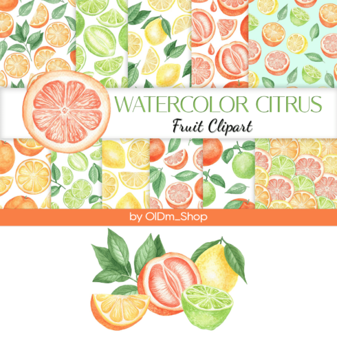 Watercolor Citrus Fruit Clipart.