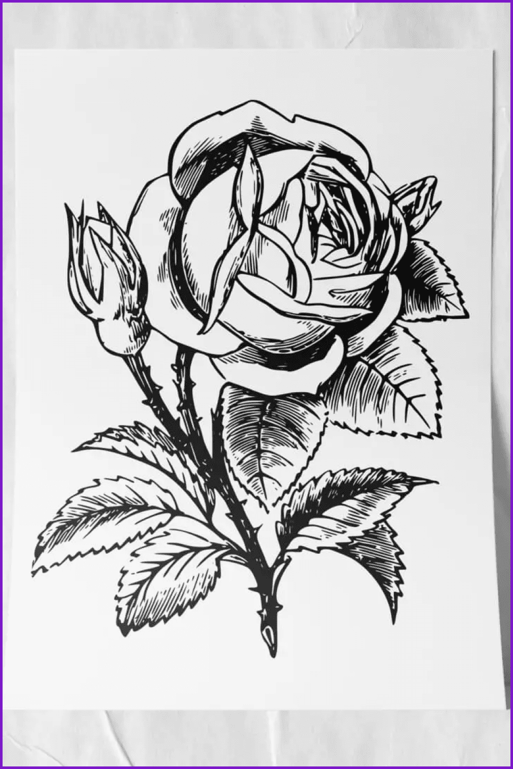 Beautiful pencil drawing flower with detailed leaves.