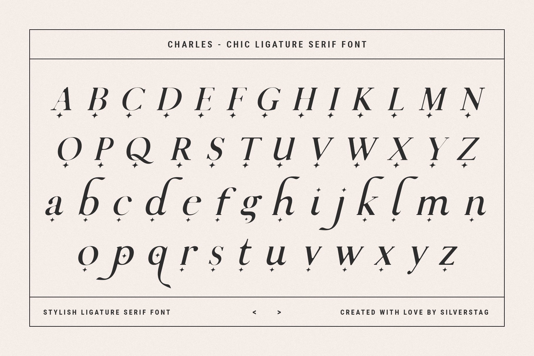 General view of the charles ligature serif font.
