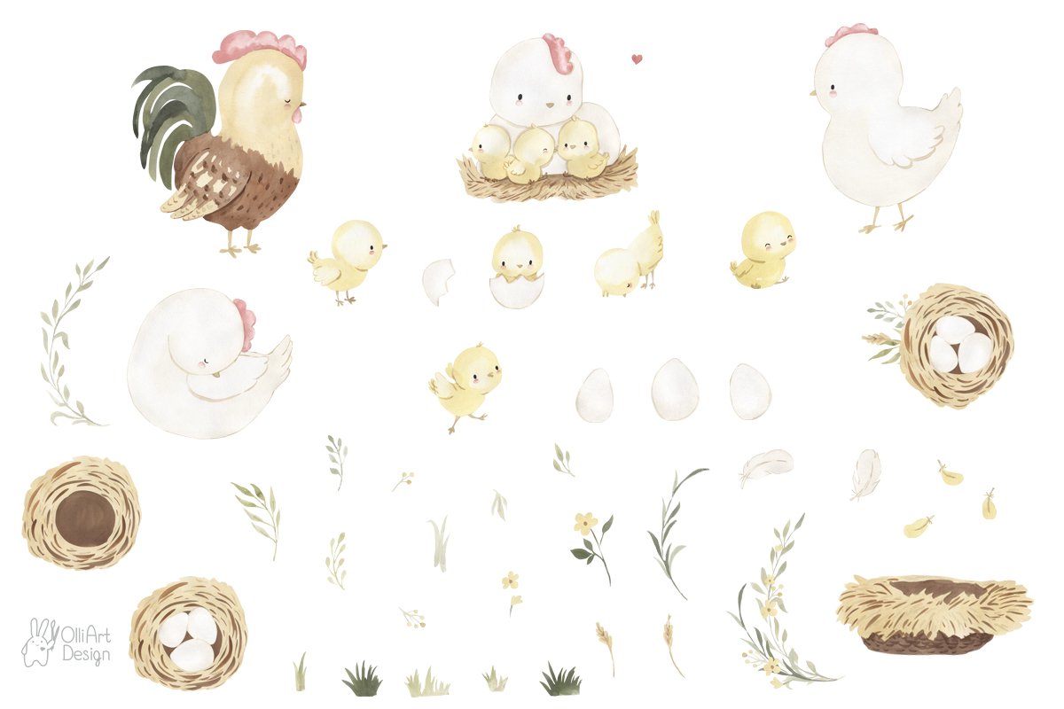 Diverse of elements for creating chicken composition.