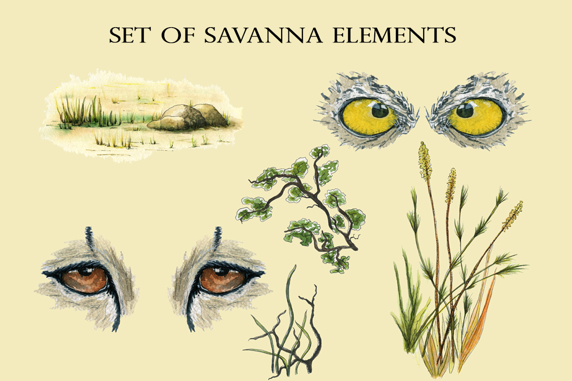 Watercolor Illustrations and Seamless Patterns with Savanna Aesthetic.