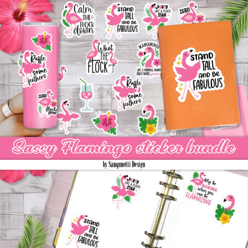 Sassy flamingo sticker bundle created by Sanqunetti Design.