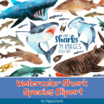 Watercolor Shark Species Clipart.