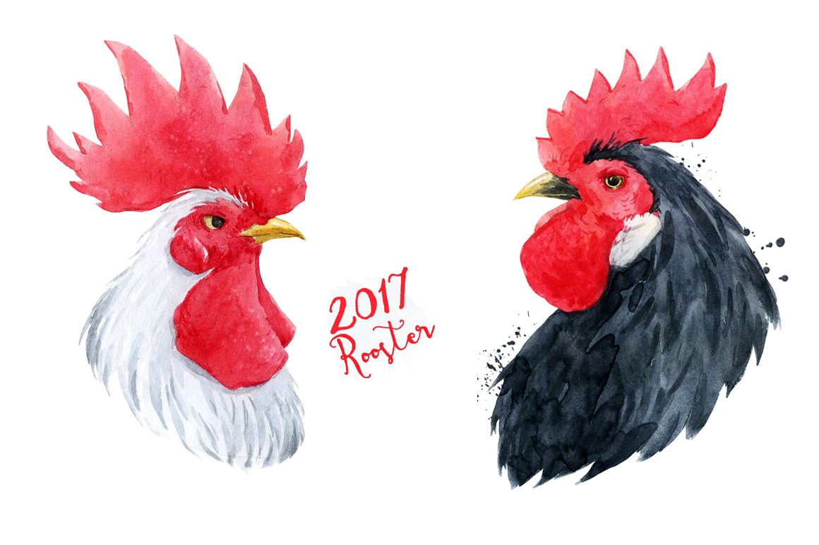 Two opposite hens in the different colors.