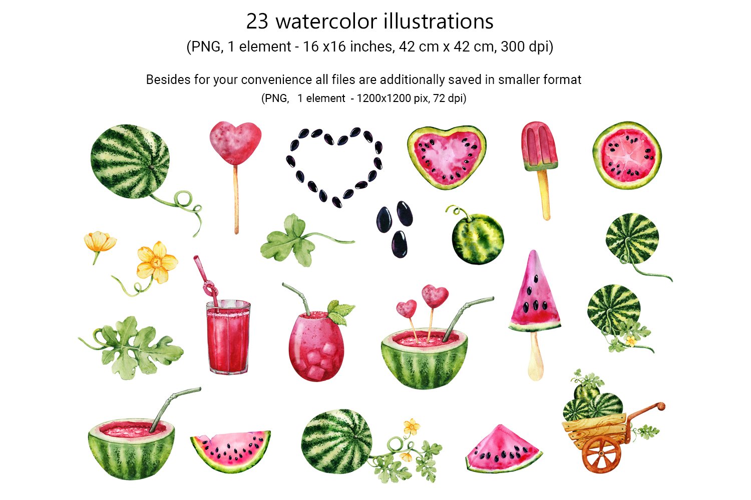 This set includes 23 watercolor illustrations.