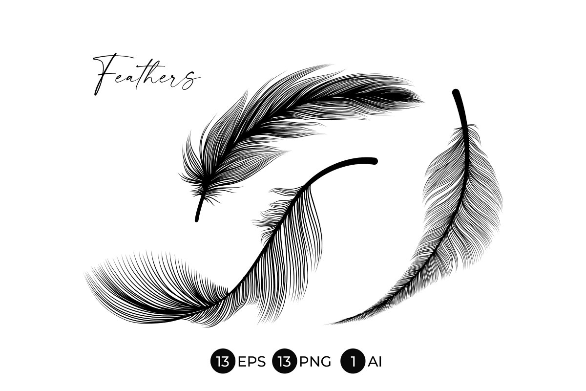 13 hand-drawn feathers in modern line art style.