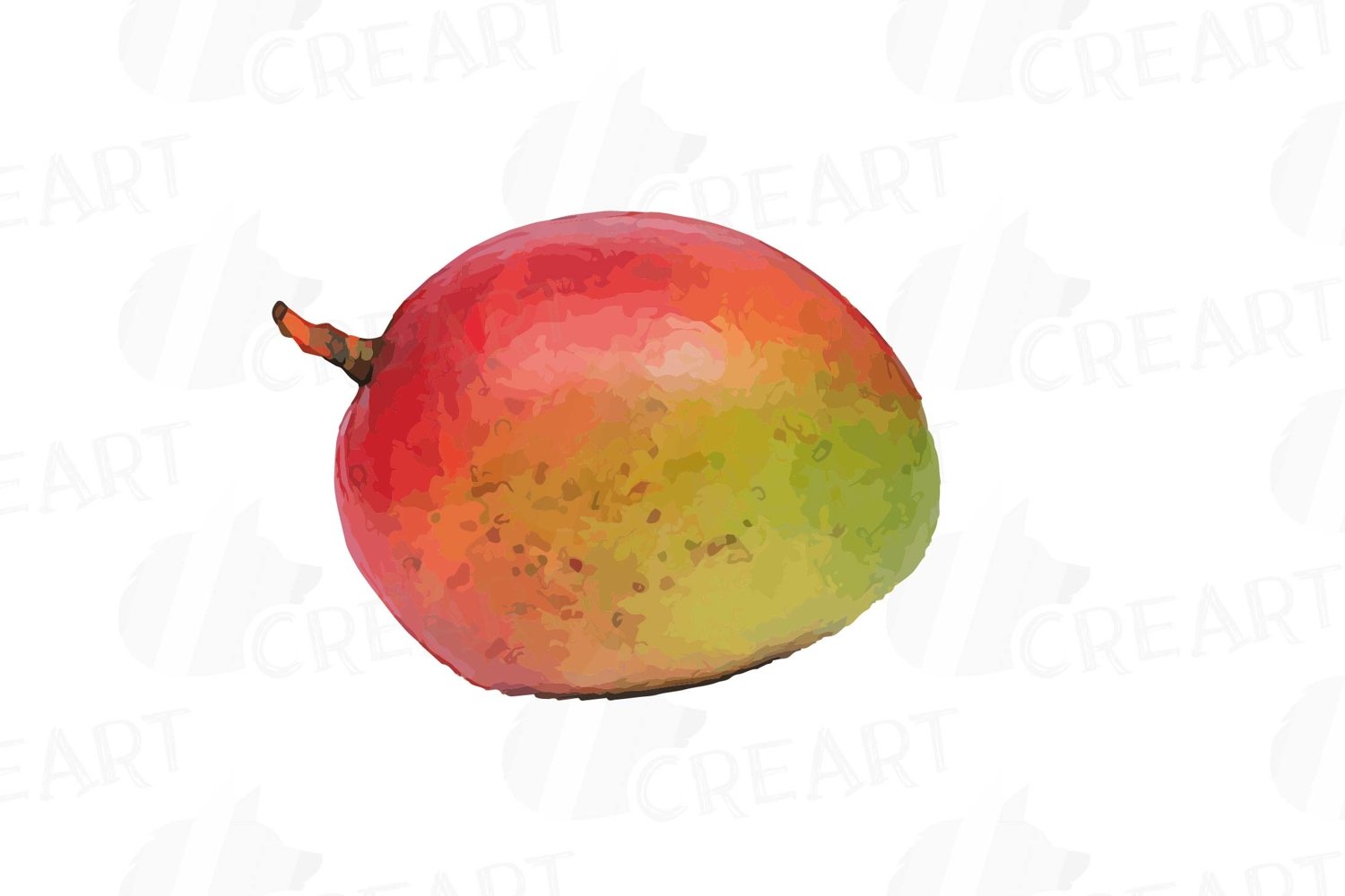 Watercolor mango.
