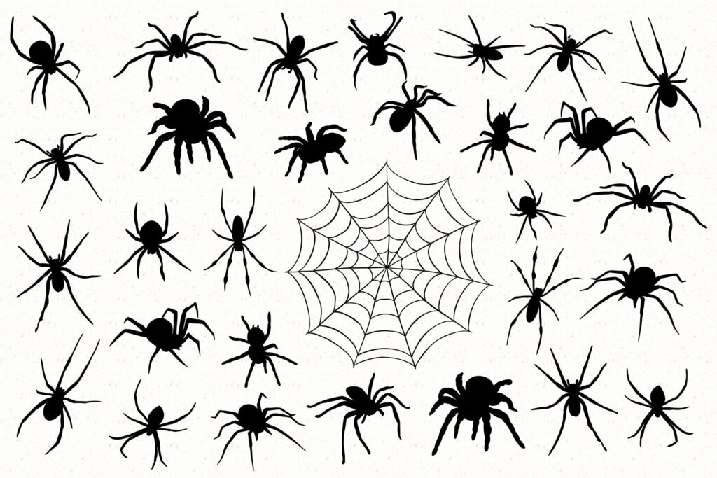 Spiders Silhouettes – MasterBundles