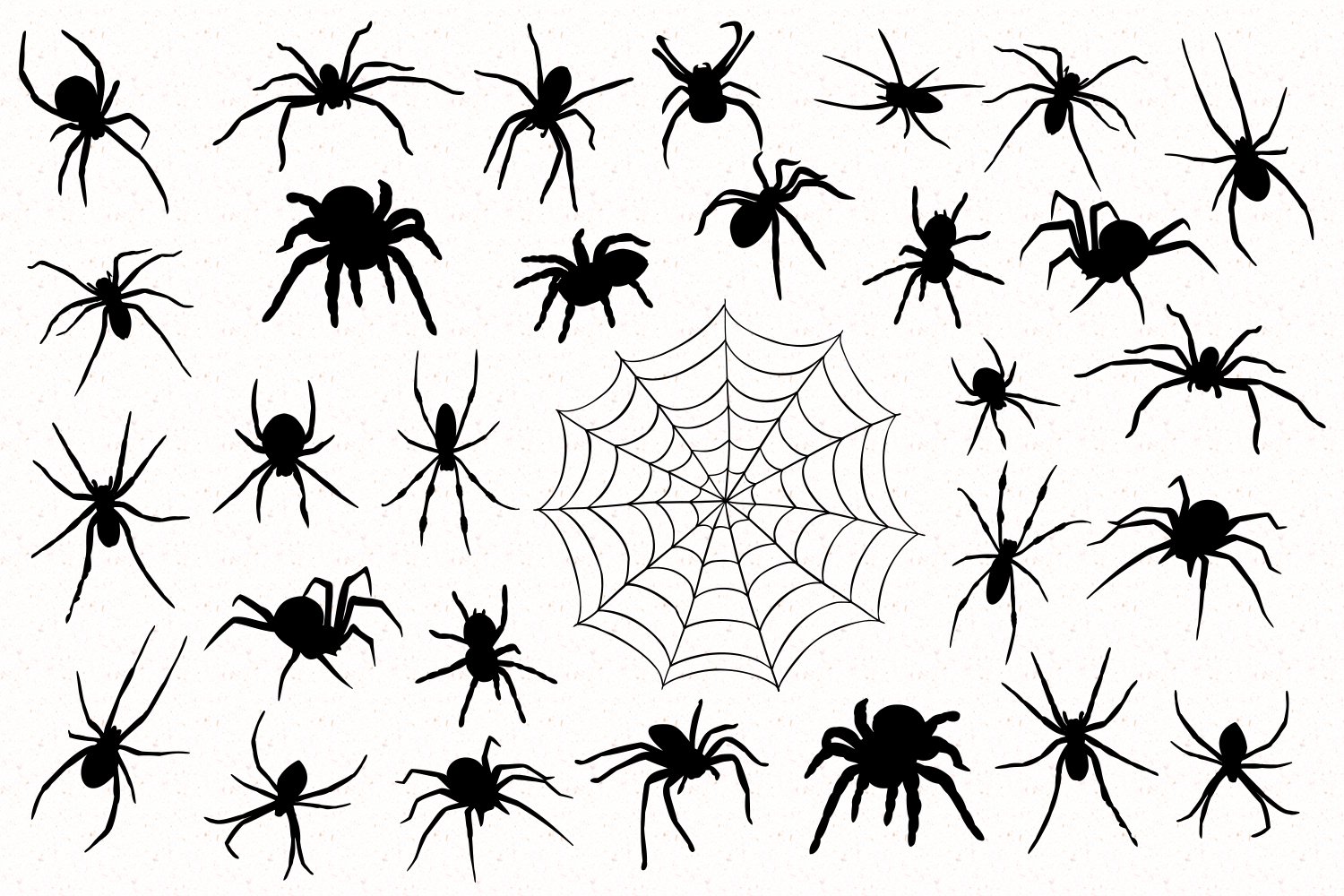 Nice black spiders collection.