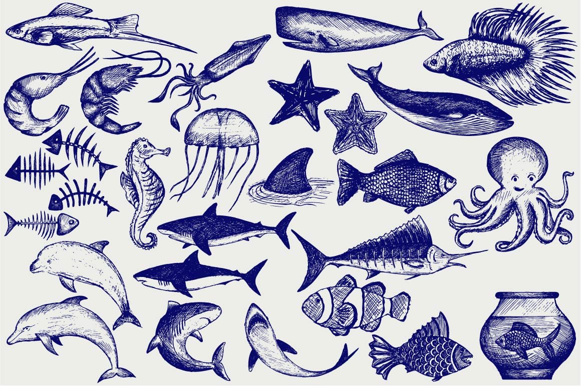 Underwater animals which were created by pen.
