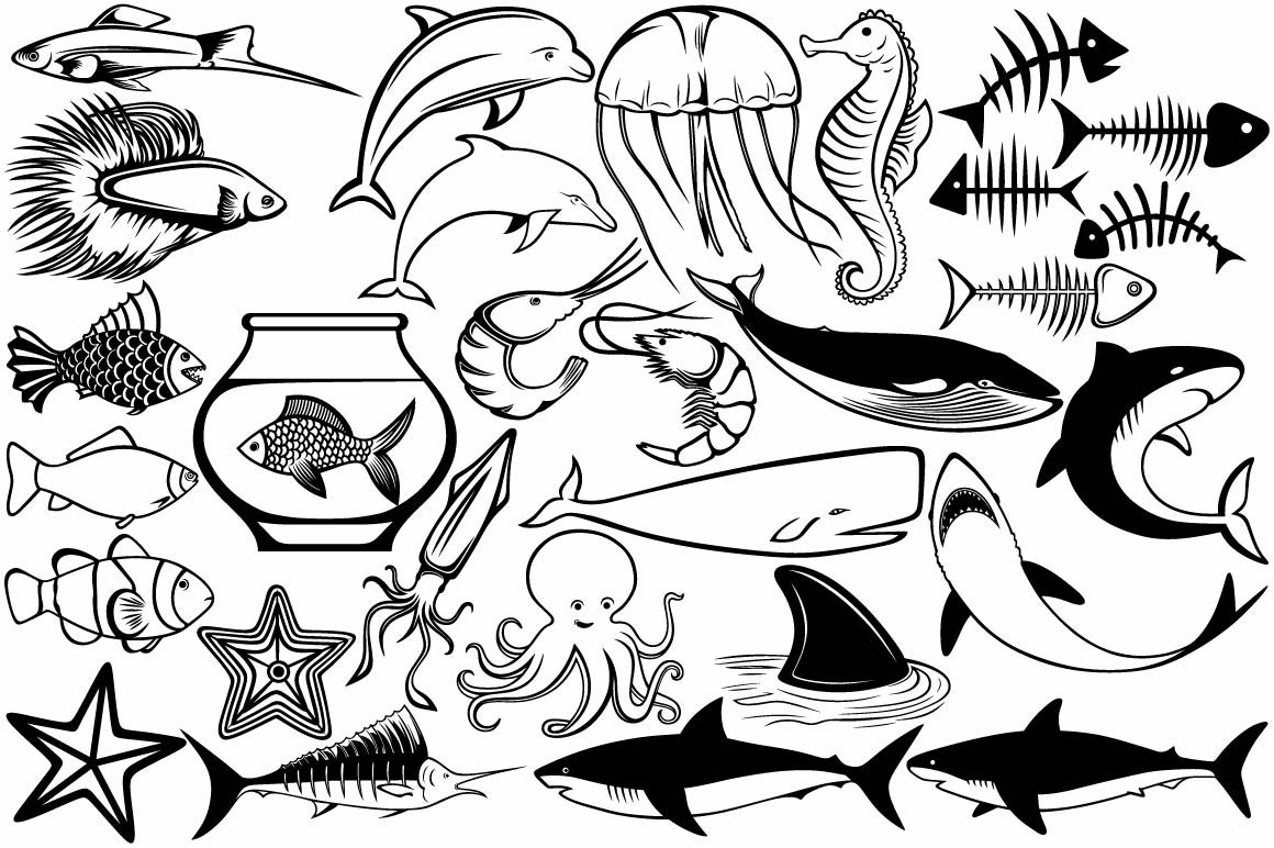Diverse of underwater animals in black.