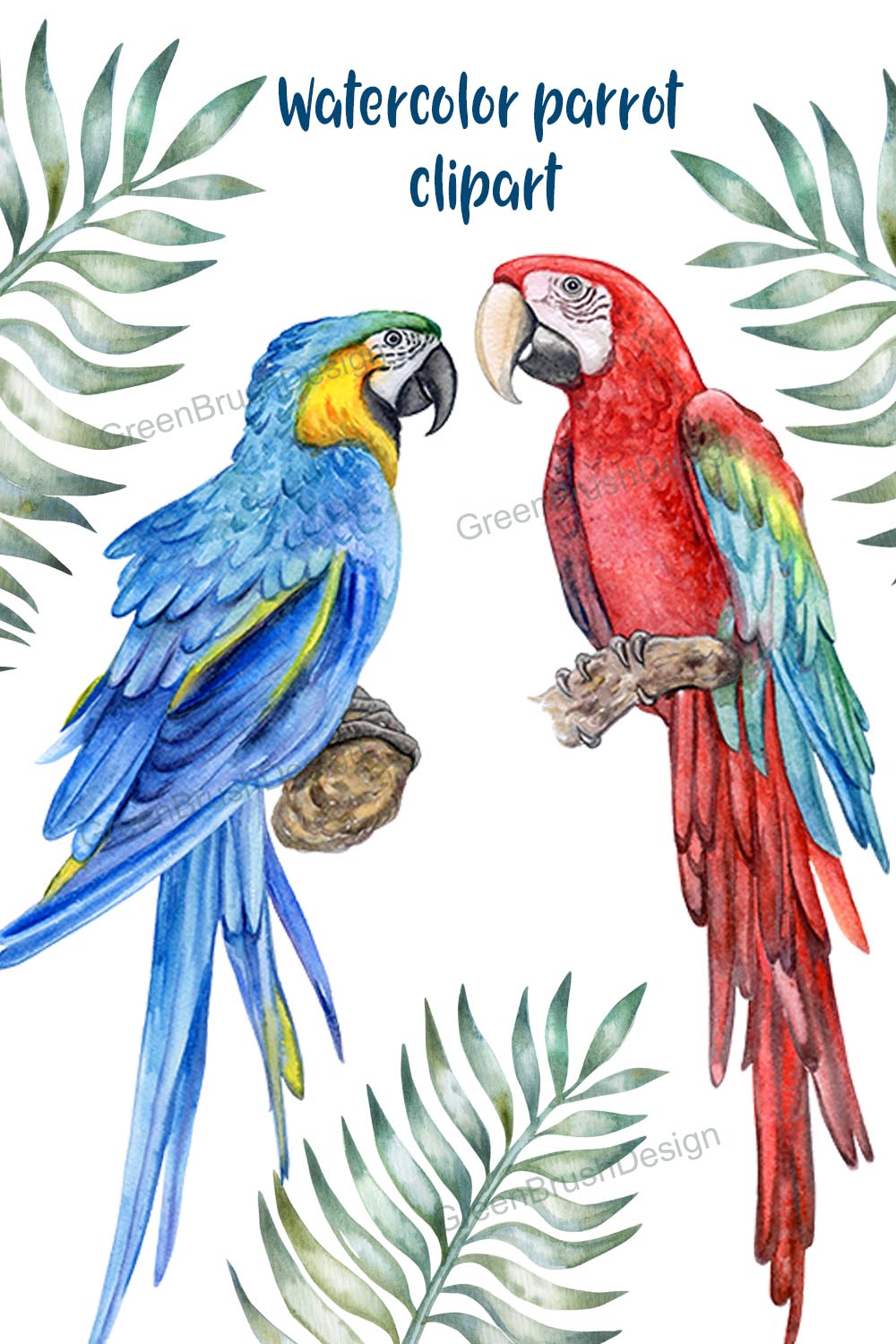 Watercolor Parrot Clipart pinterest image.