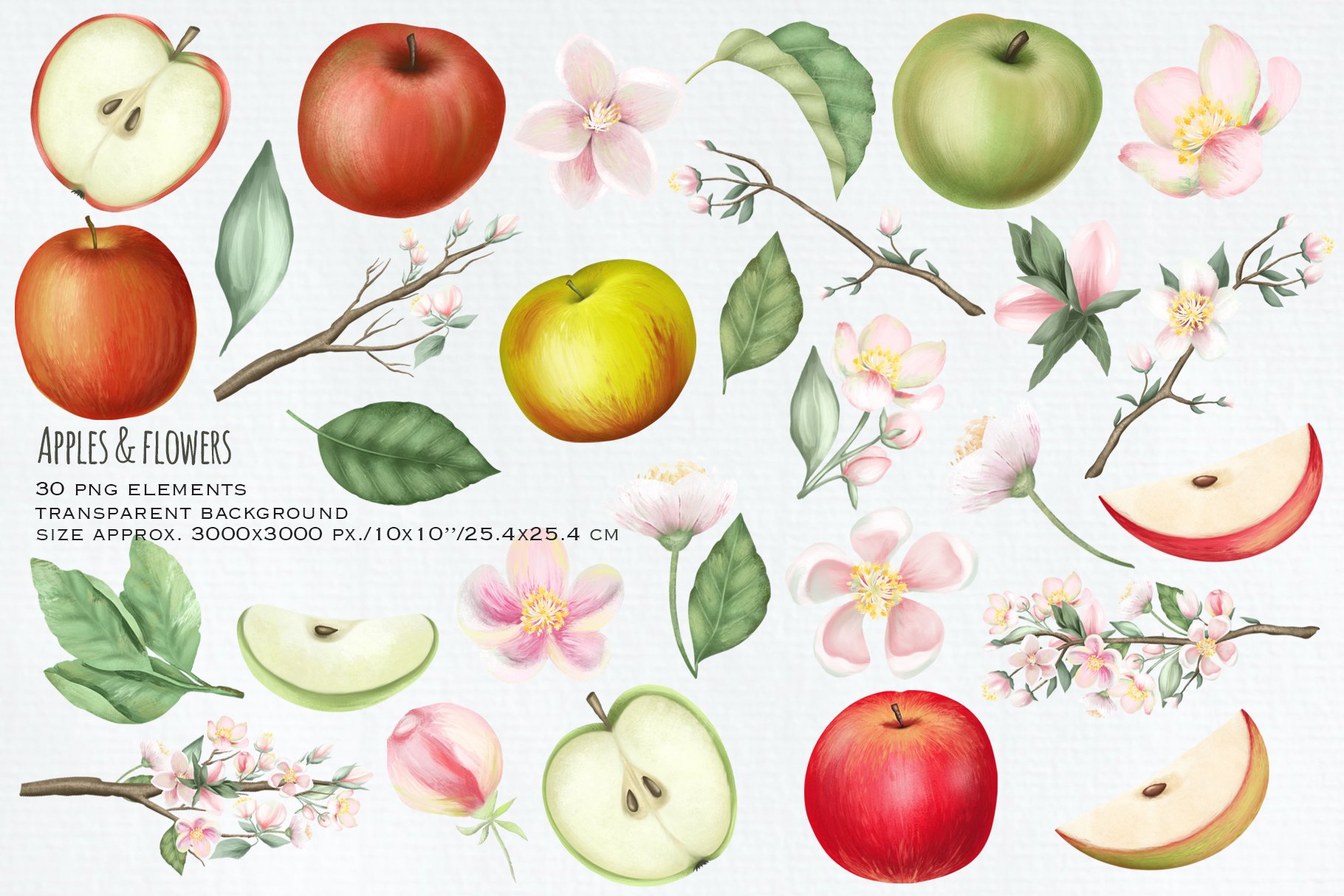Realistic apple in different colors.