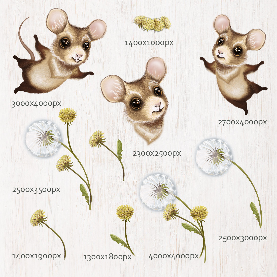 Cute Cartoon Little Mouse with Flowers elements.