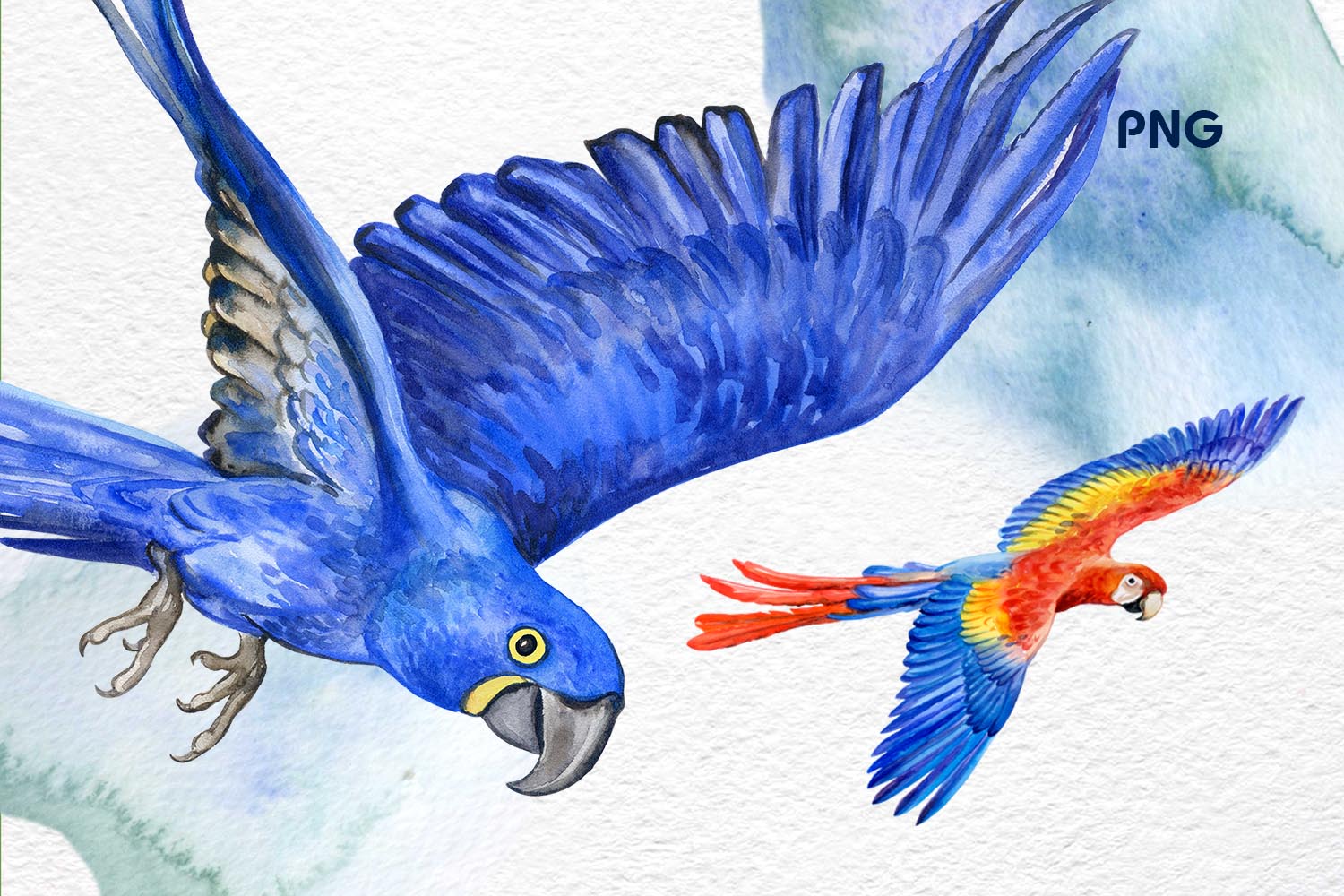 Watercolor Parrot Clipart facebook image.