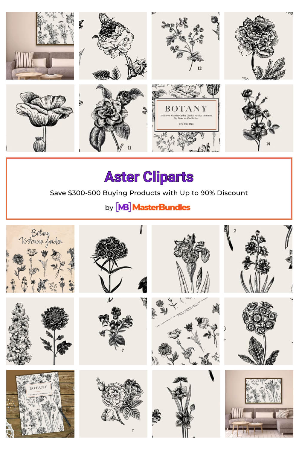 aster cliparts pinterest image.