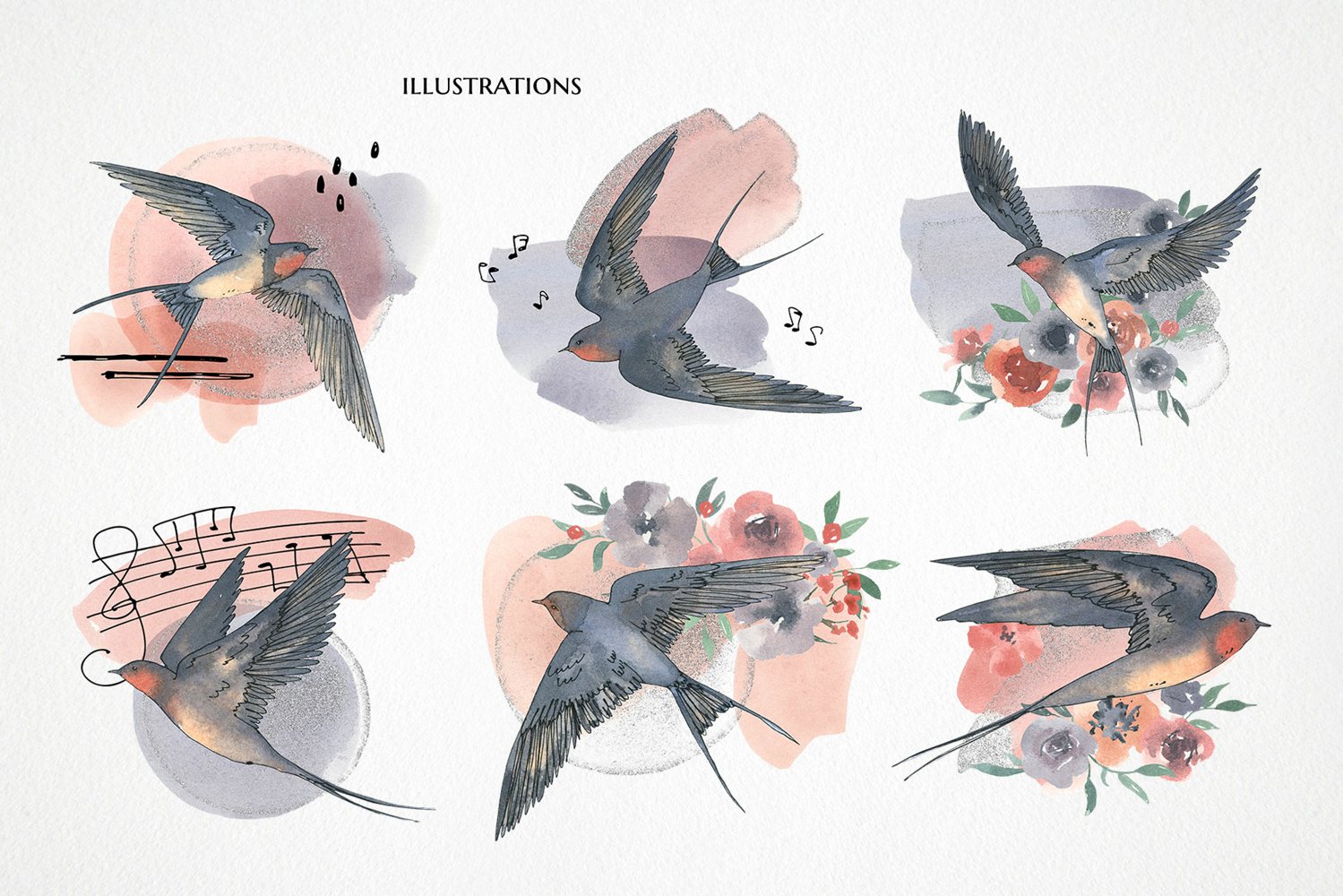 Diverse of watercolor birds illustrations.