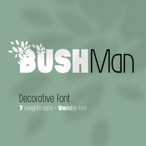 Bushman Font Set cover image.