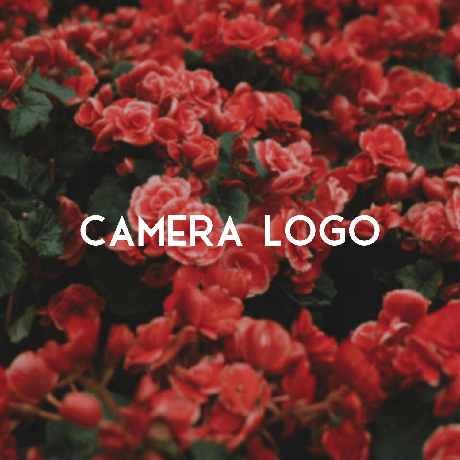 Camera Logo.