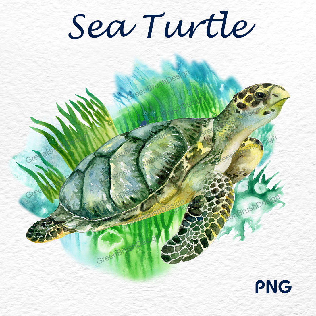 Watercolor Sea Turtle Green Turtle cover image.