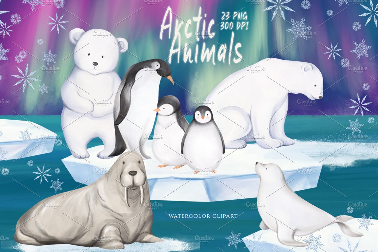 So colorful illustration with different animals on North Pole.