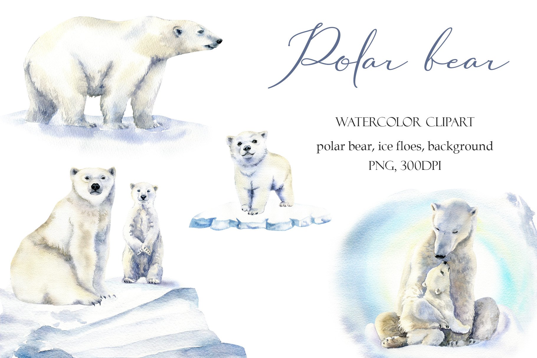 Polar bears collection.