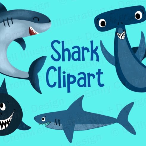 Shark Digital Clipart 