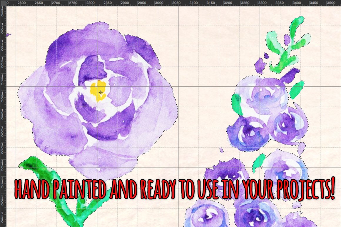 Watercolor purple flowers.